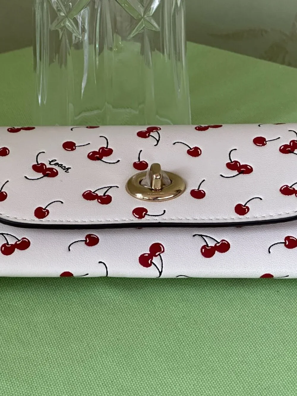 COACH SUNGLASS CASE W/ CHERRY PRINT:NWT CHALK/MULTI CFA49